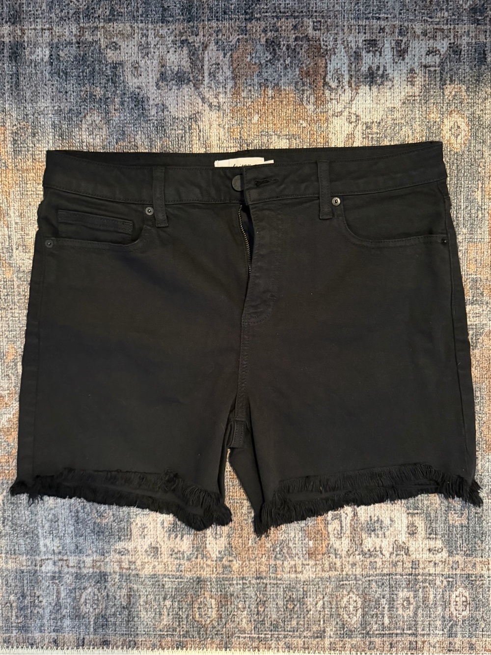 Carly Jean Los Angeles XL Black Frayed Hem Denim Shorts